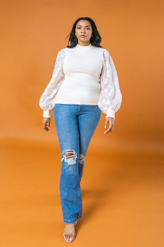 Sheer Sleeved Sweater Top