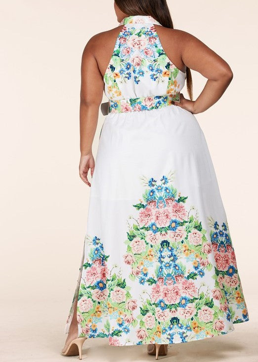 Floral Gardens Button Down Dress